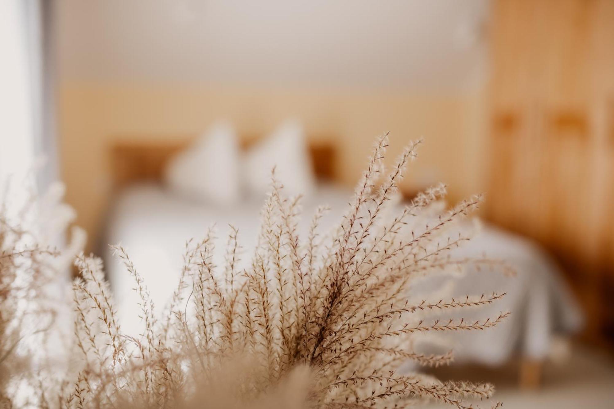 Saules Iela 2A Aparthotel Saldus Rom bilde